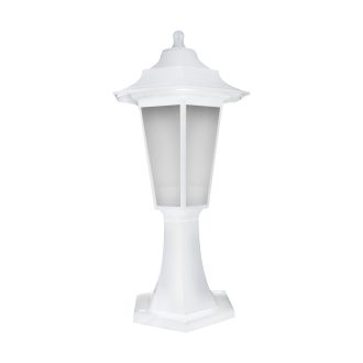 BEGONYA1 WHITE