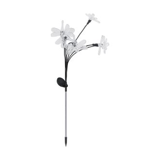 IMAGO LED 6x0,02W CW