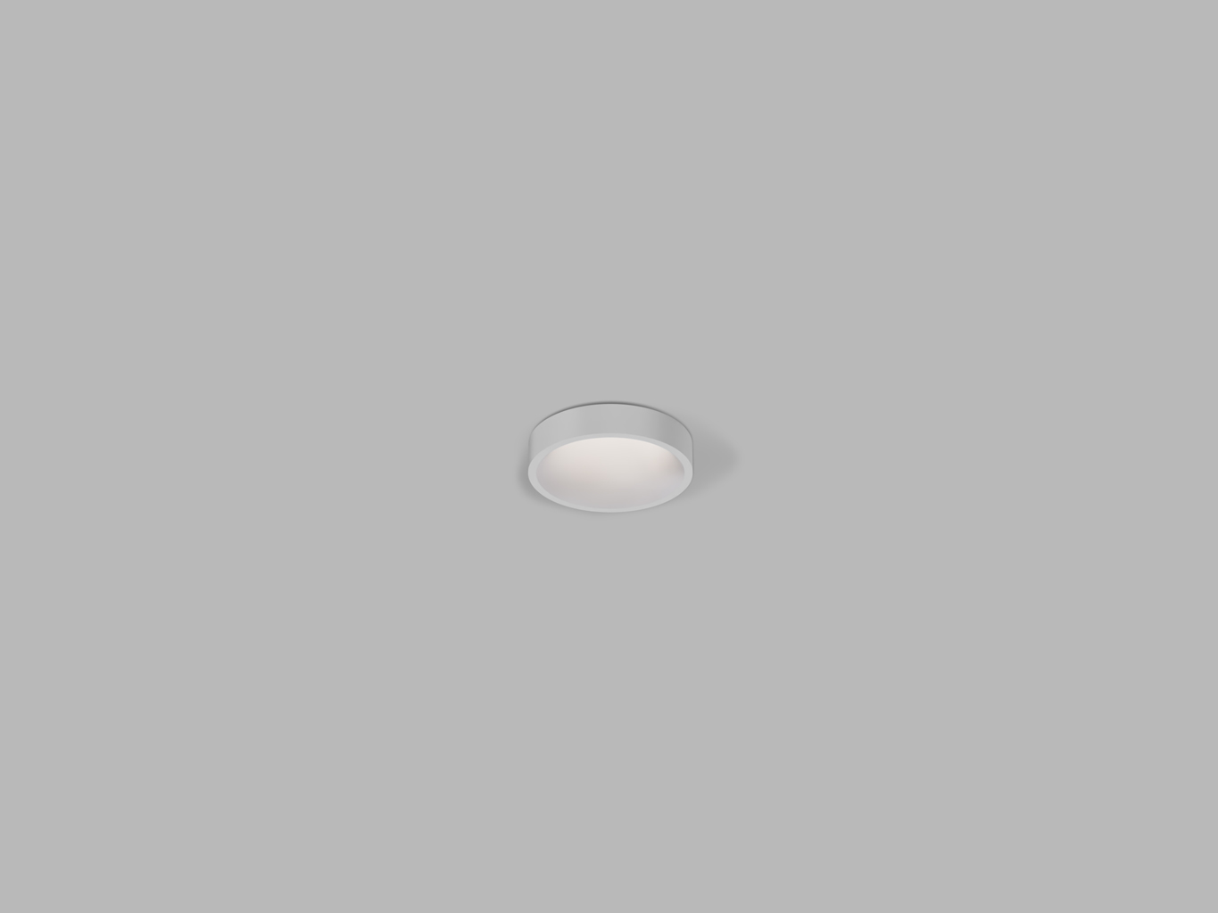 SPOT MINI